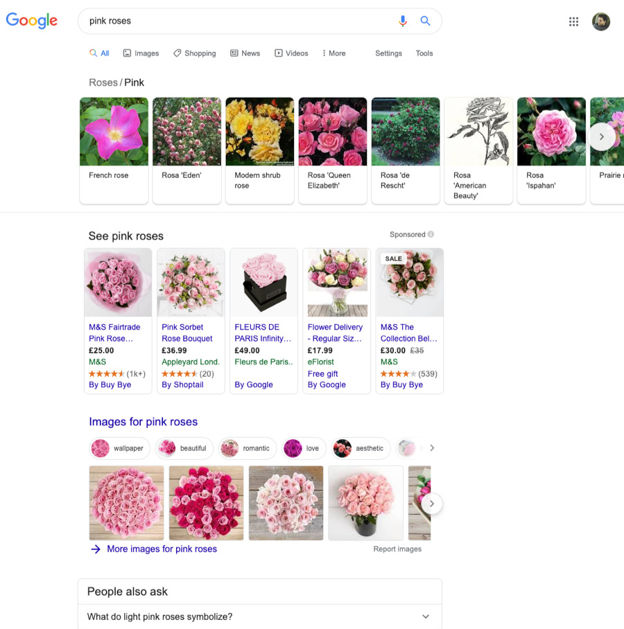 pink roses results