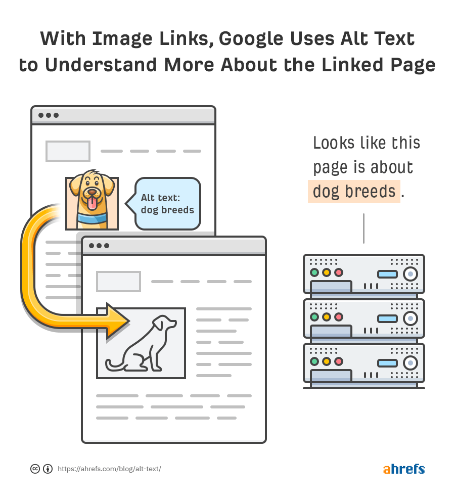 Alt Text for SEO: How to Optimize Your Images