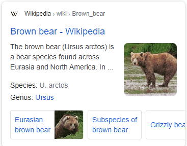brown bear sitelinks