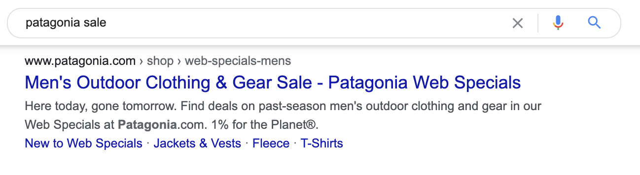 21 patagonia meta description