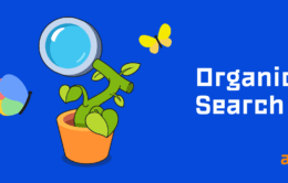 organic search