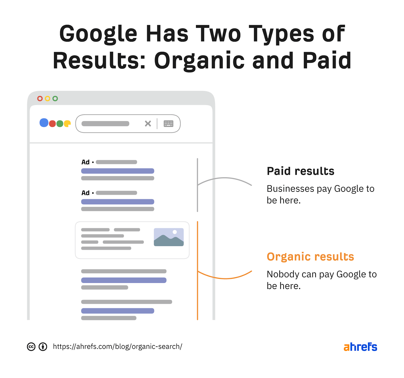 Organic Search Engine Rankings