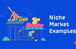 niche market examples