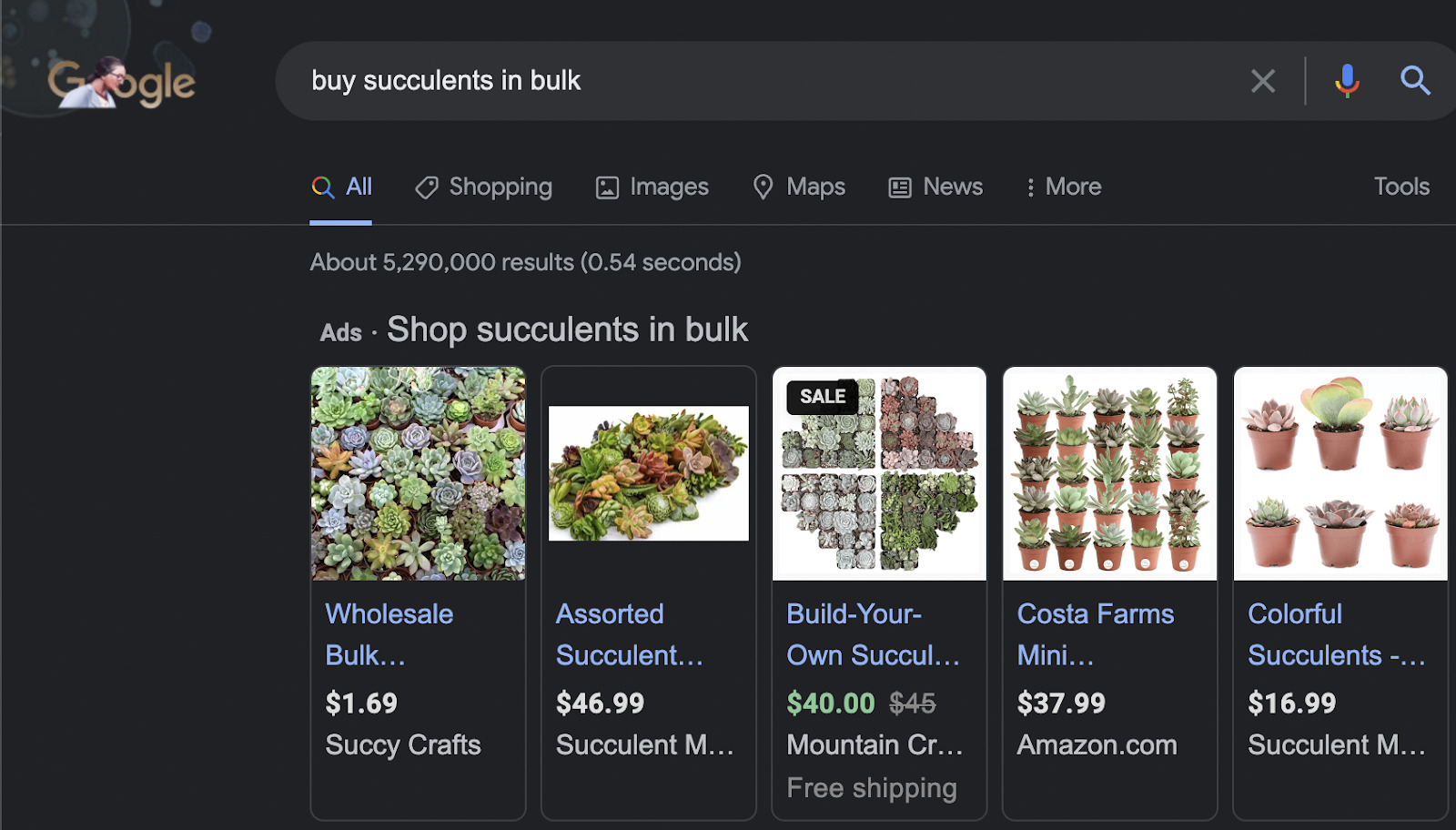 Ad carousel on Google SERP of "buy succulents in bulk"