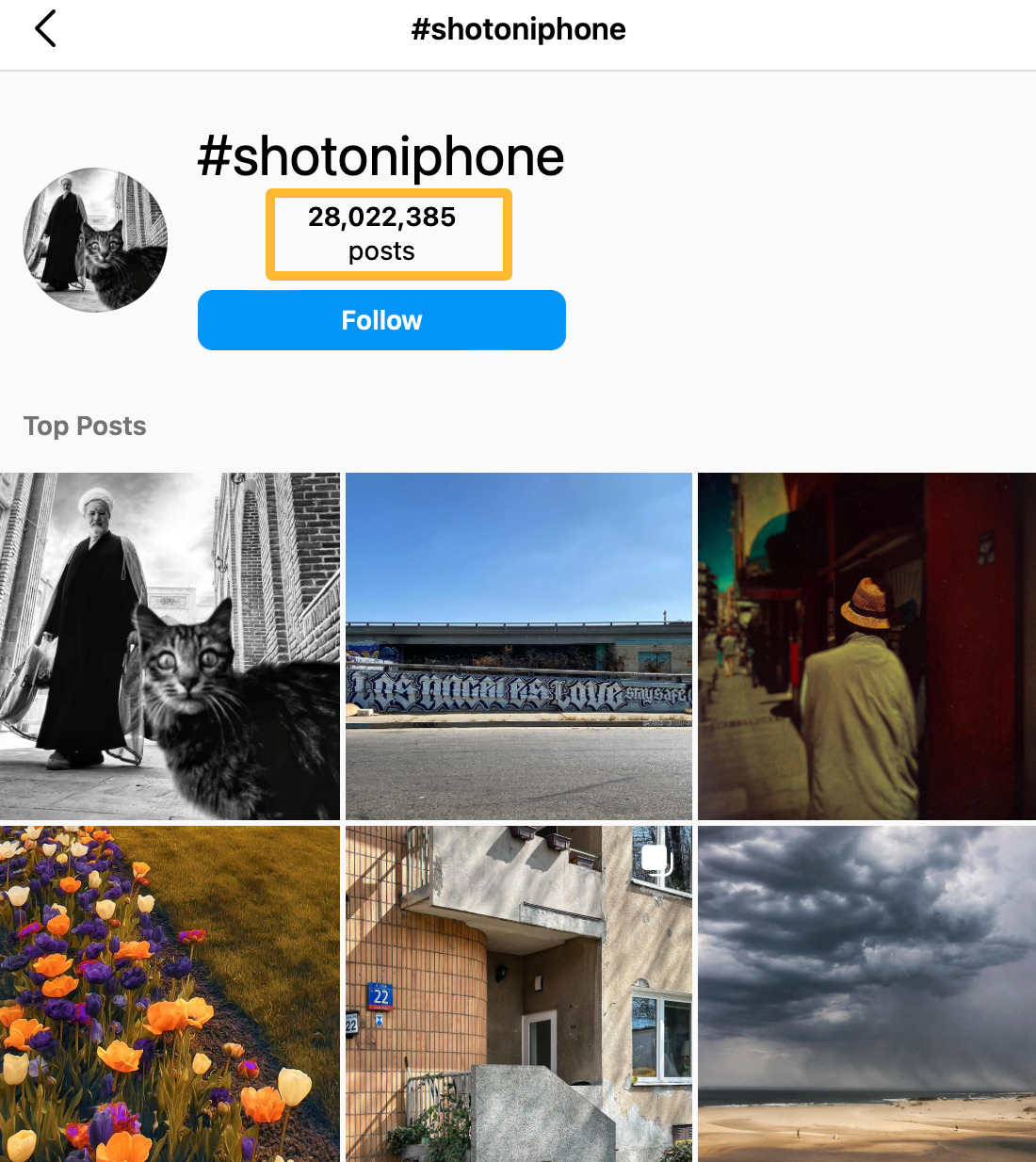 #shotoniphone marketing campaign results
