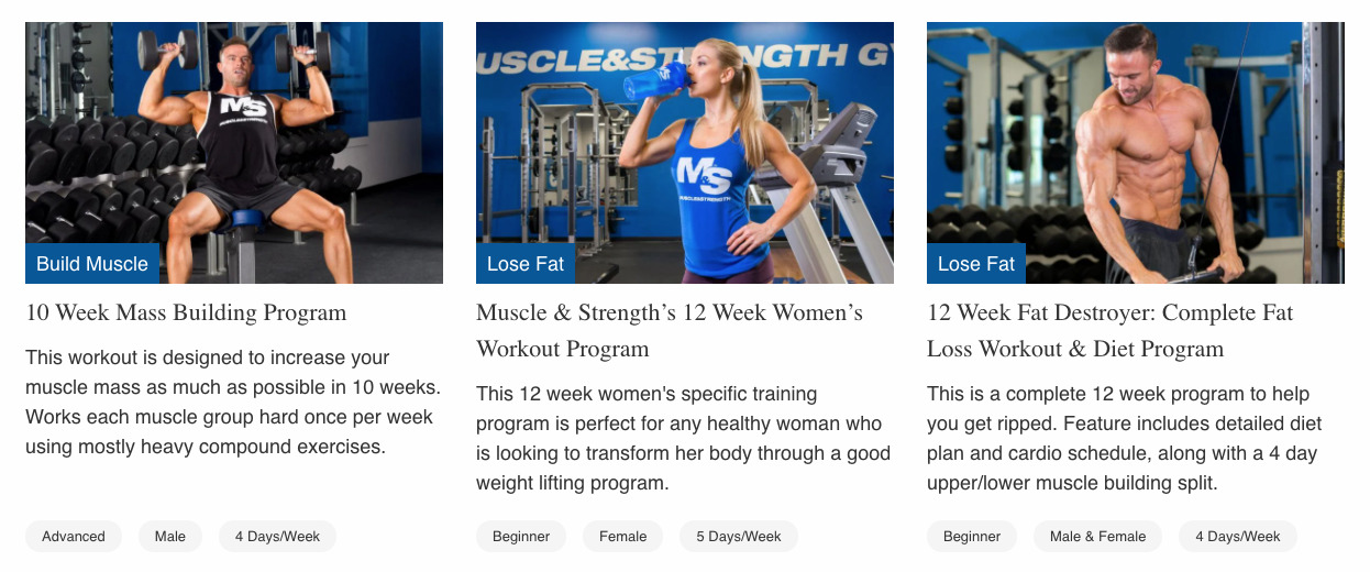 10 week mass online building