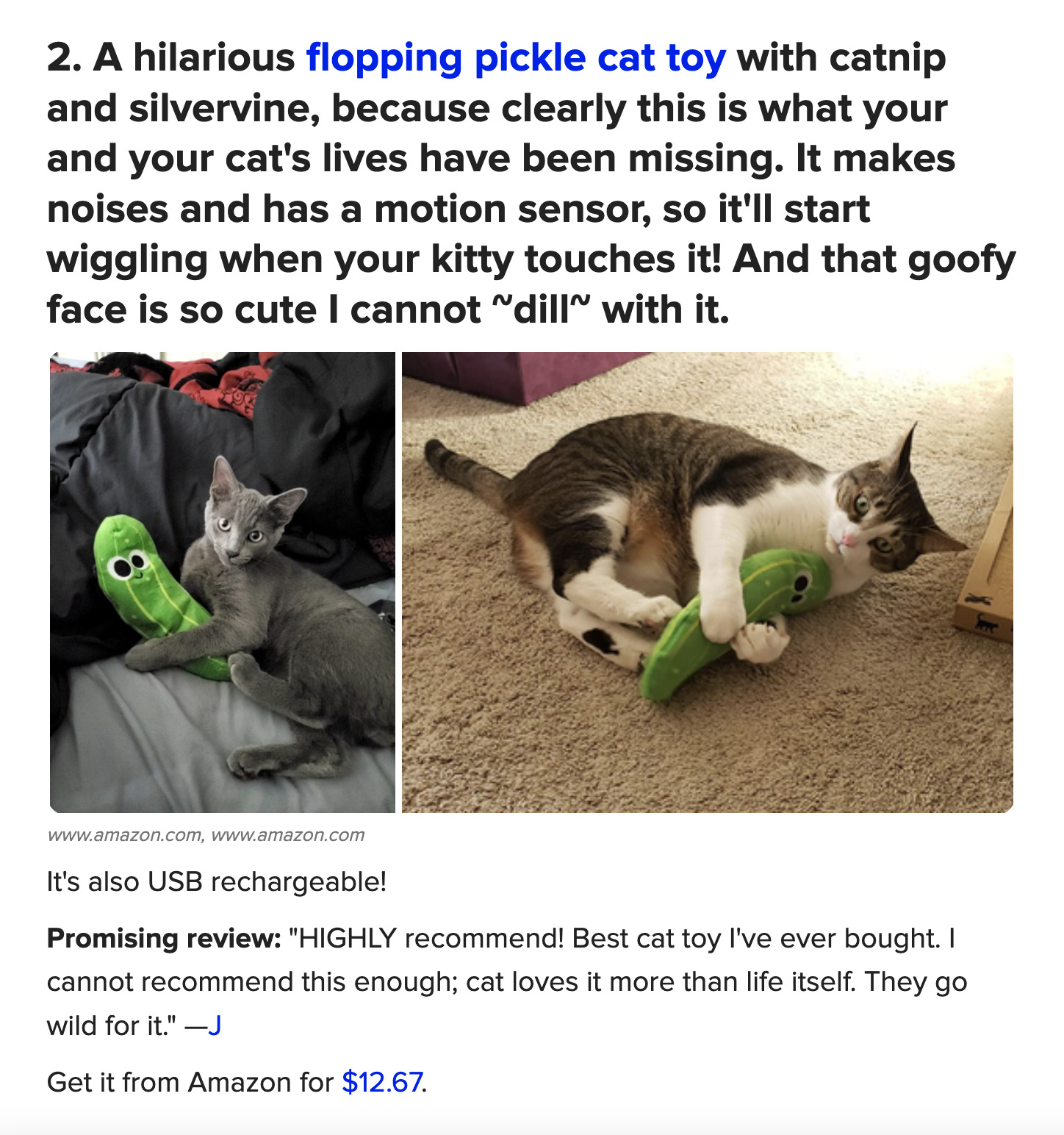 Excerpt of an image-heavy BuzzFeed article as an example of a listicle type of blog post.