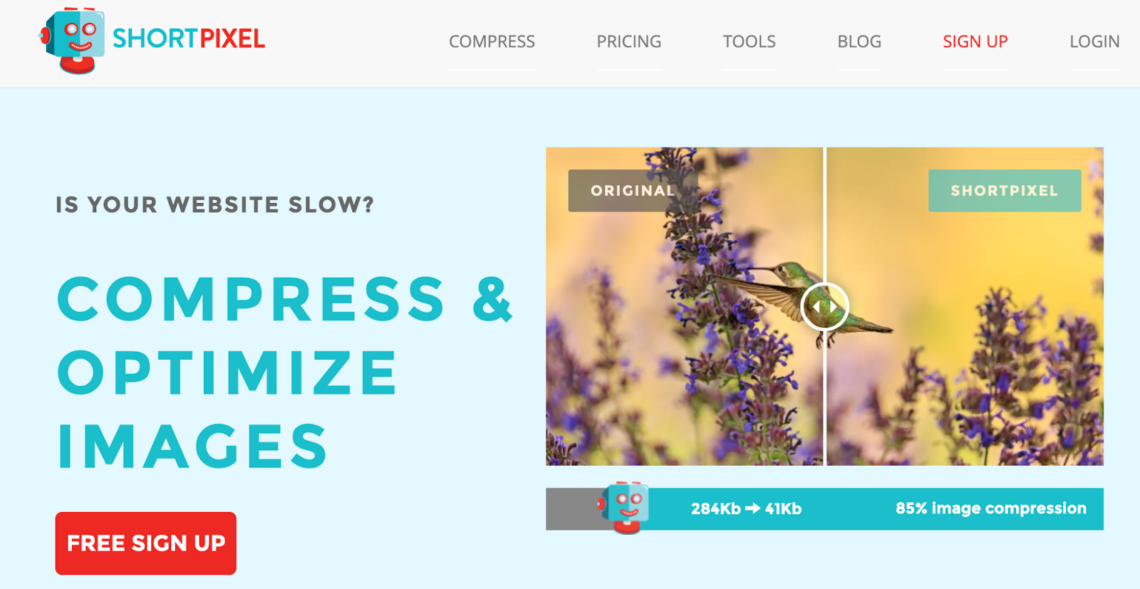 Except of ShortPixel's page; on right, "before compression" and "after compression" versions of a picture of a bird