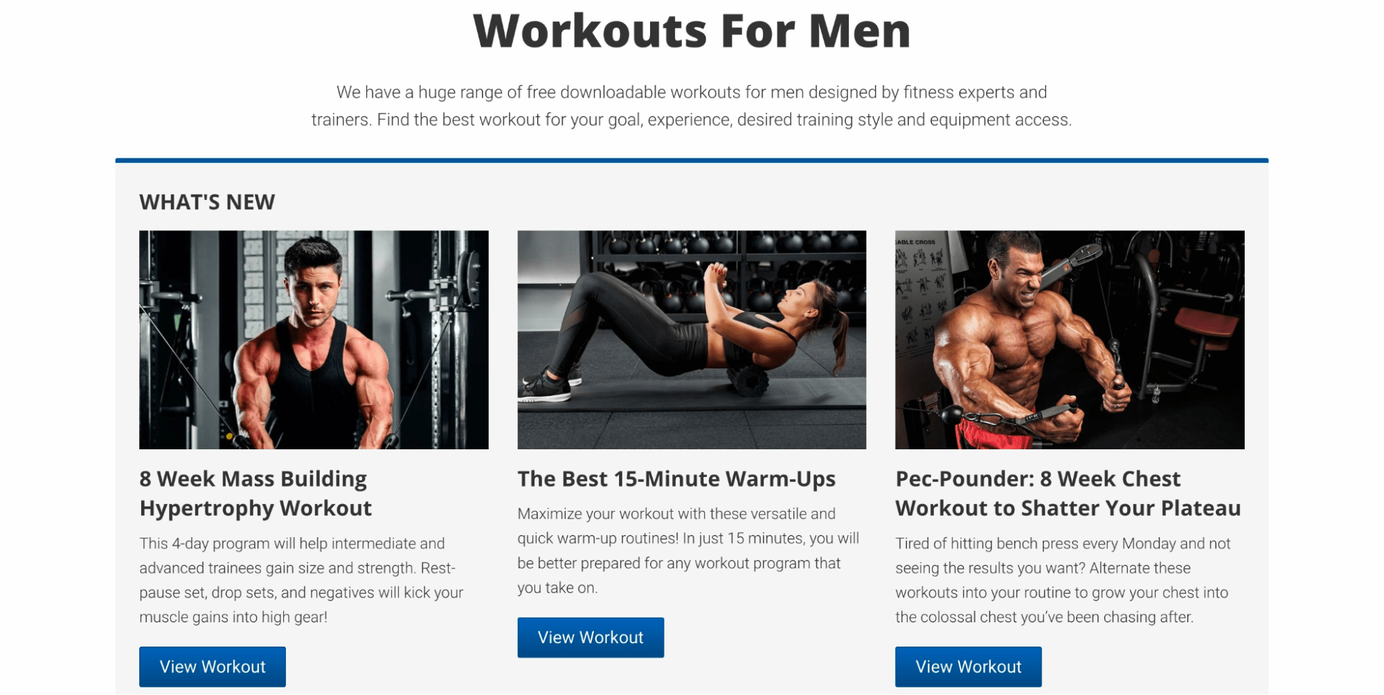 Erkekler için egzersiz türleri (ızgara formatında)
