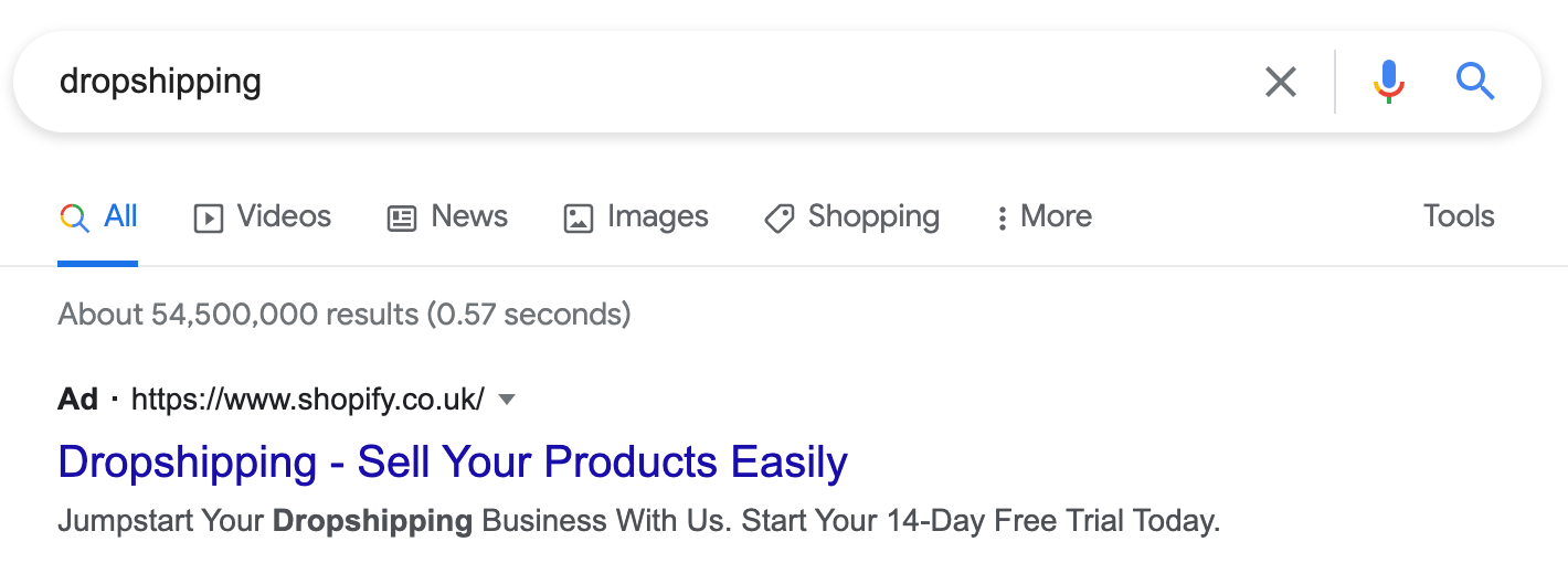 An example of a Google ad for the query, "dropshipping"
