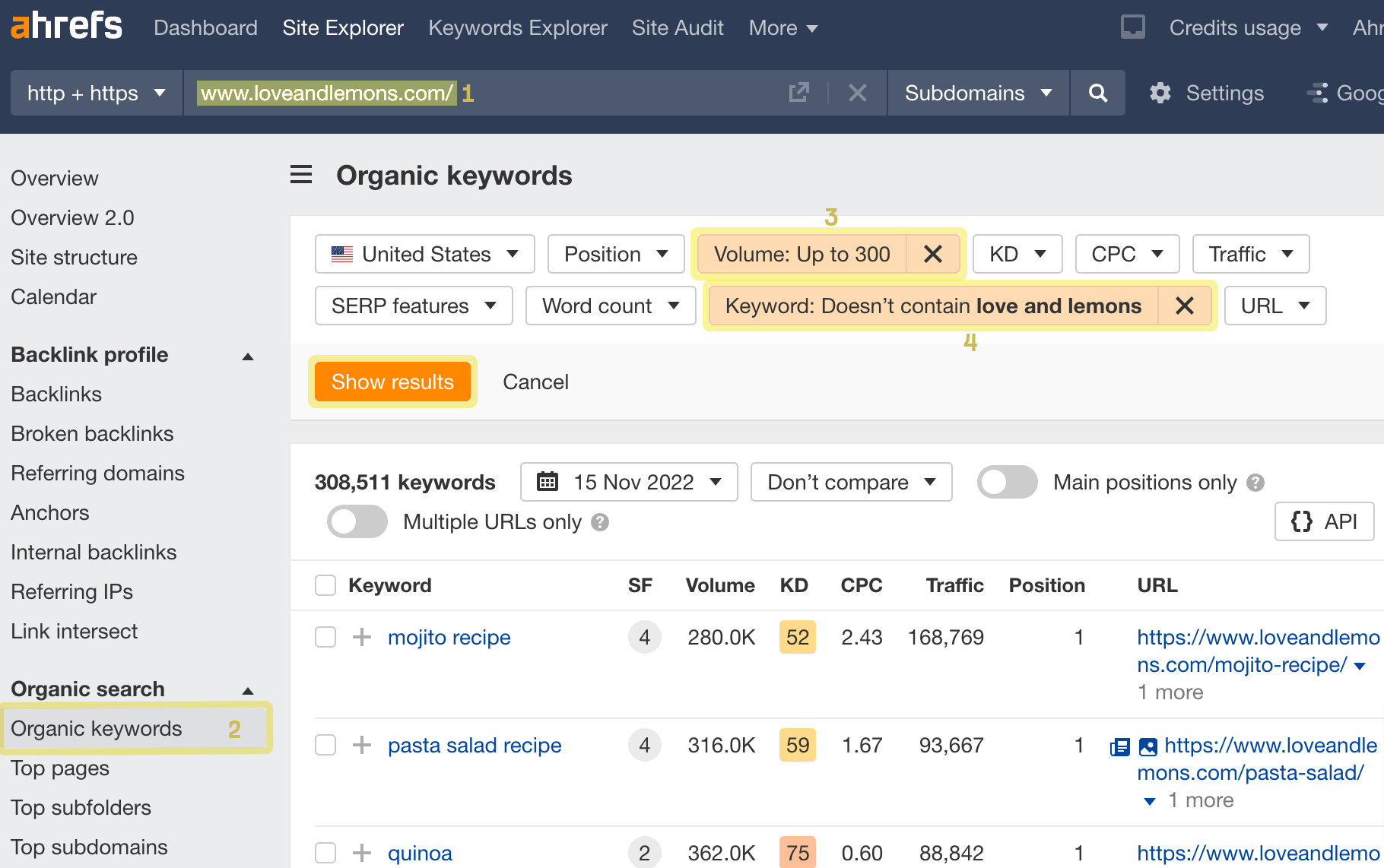 Use Ahrefs to find long-tail keyword ideas on other websites.