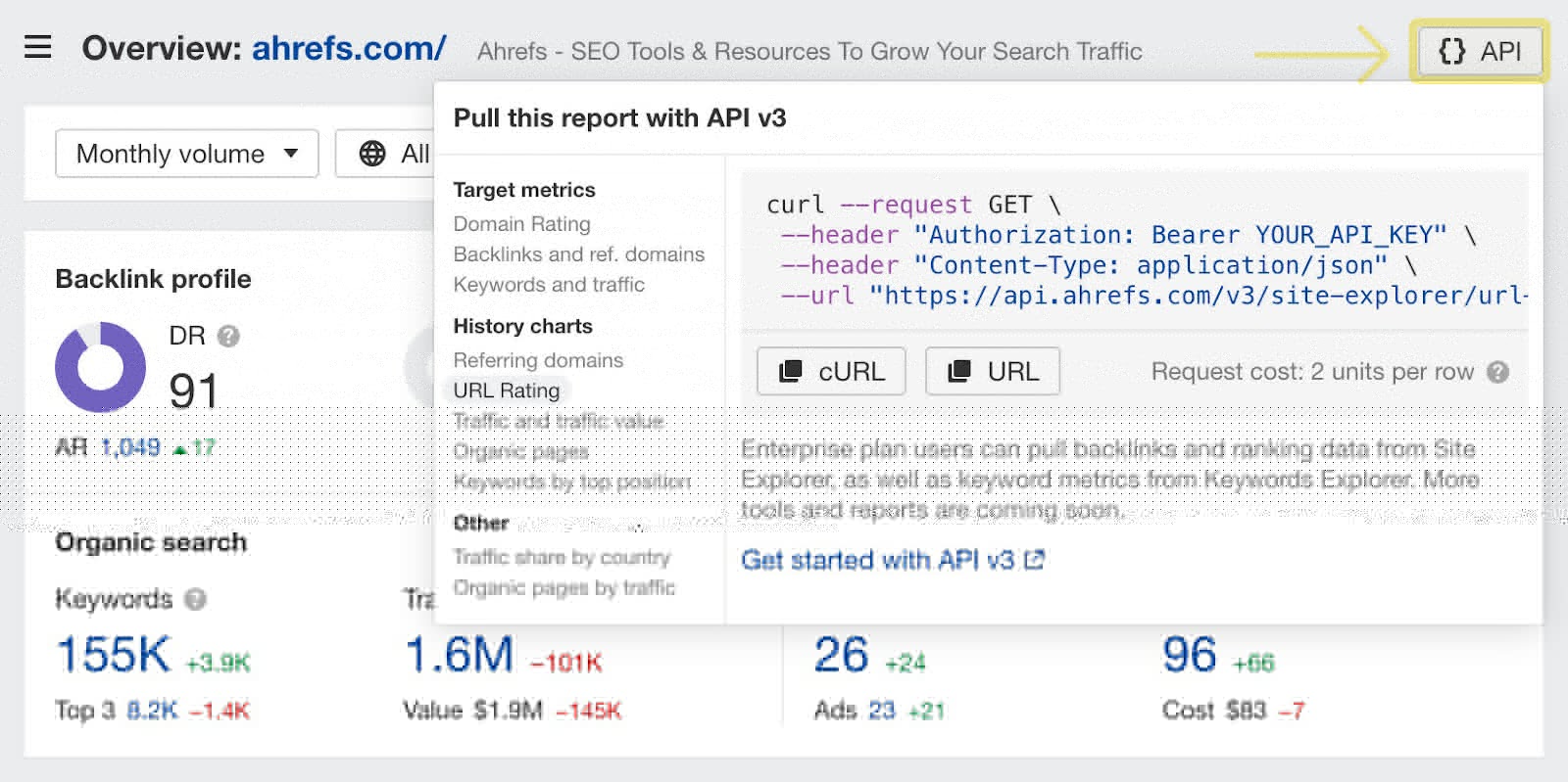 Copy an API query and pull the current report 