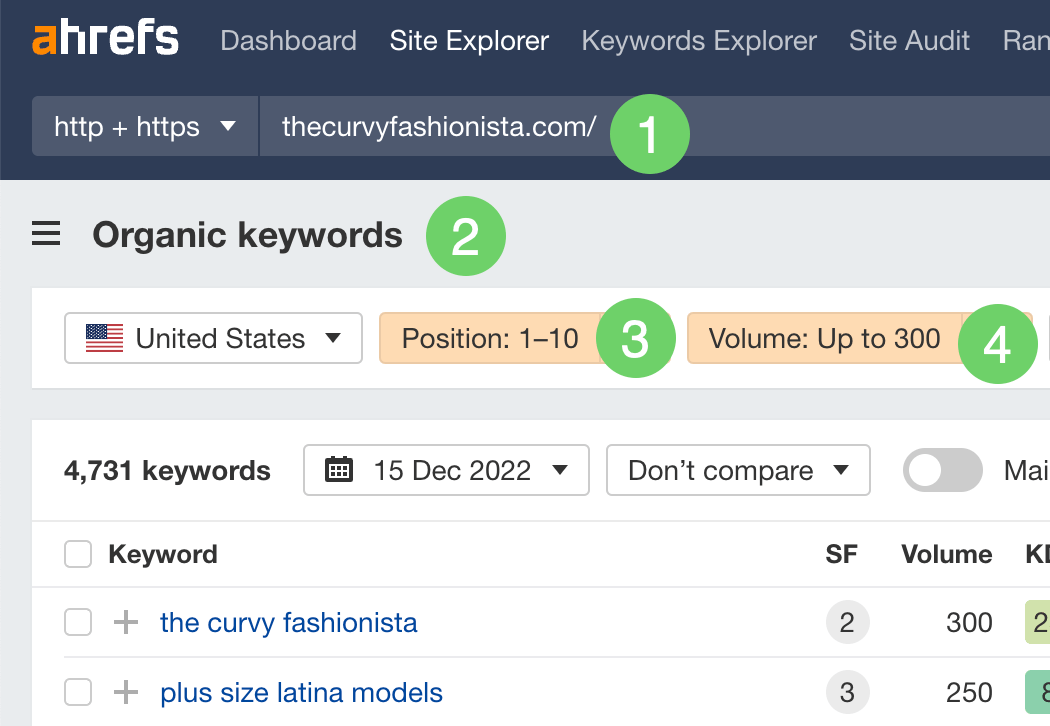 Filtering for long-tail keywords that thecurvyfashionist.com ranks for in Ahrefs Site Explorer