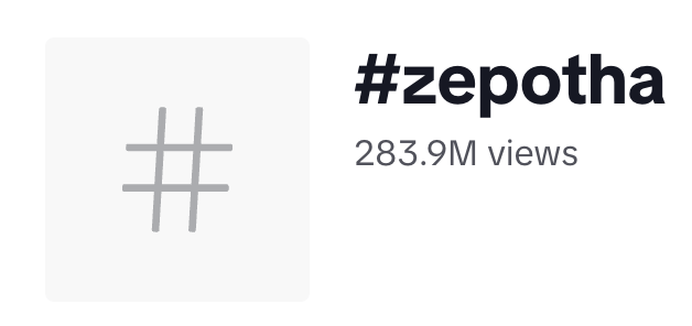 283.9 million views on the #zepotha hashtag on TikTok