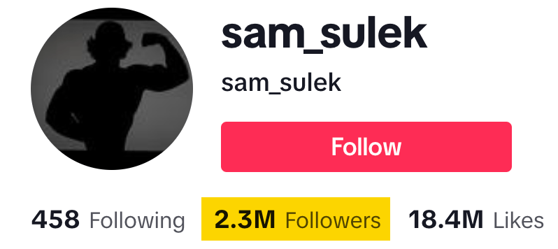 Number of followers on Sam Sulek's TikTok