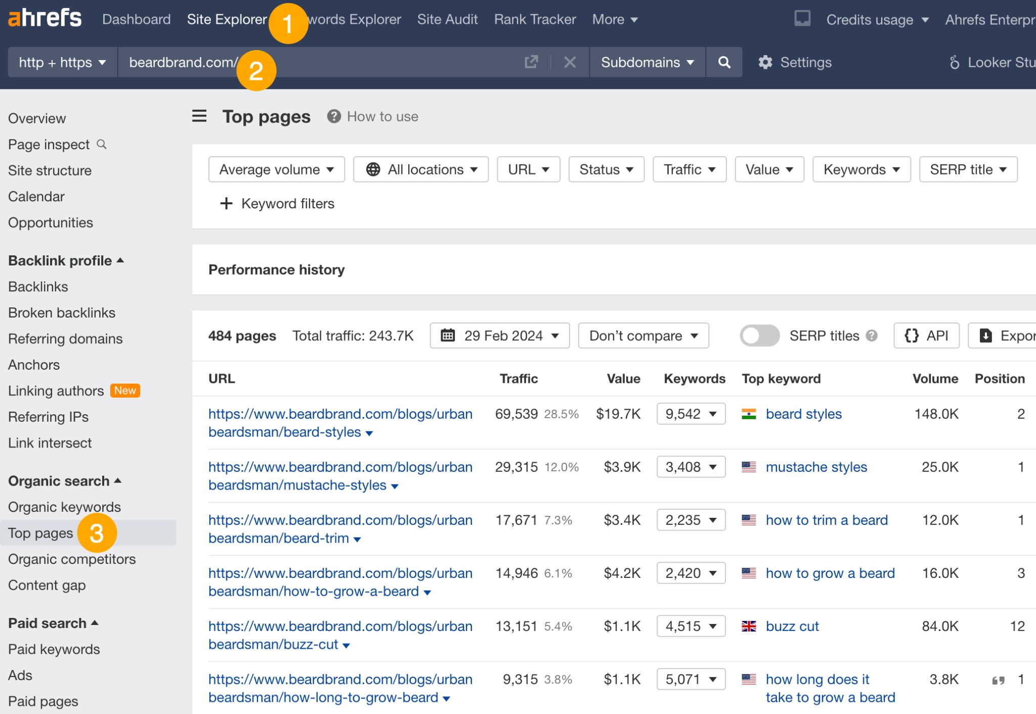 Top pages report in Site Explorer