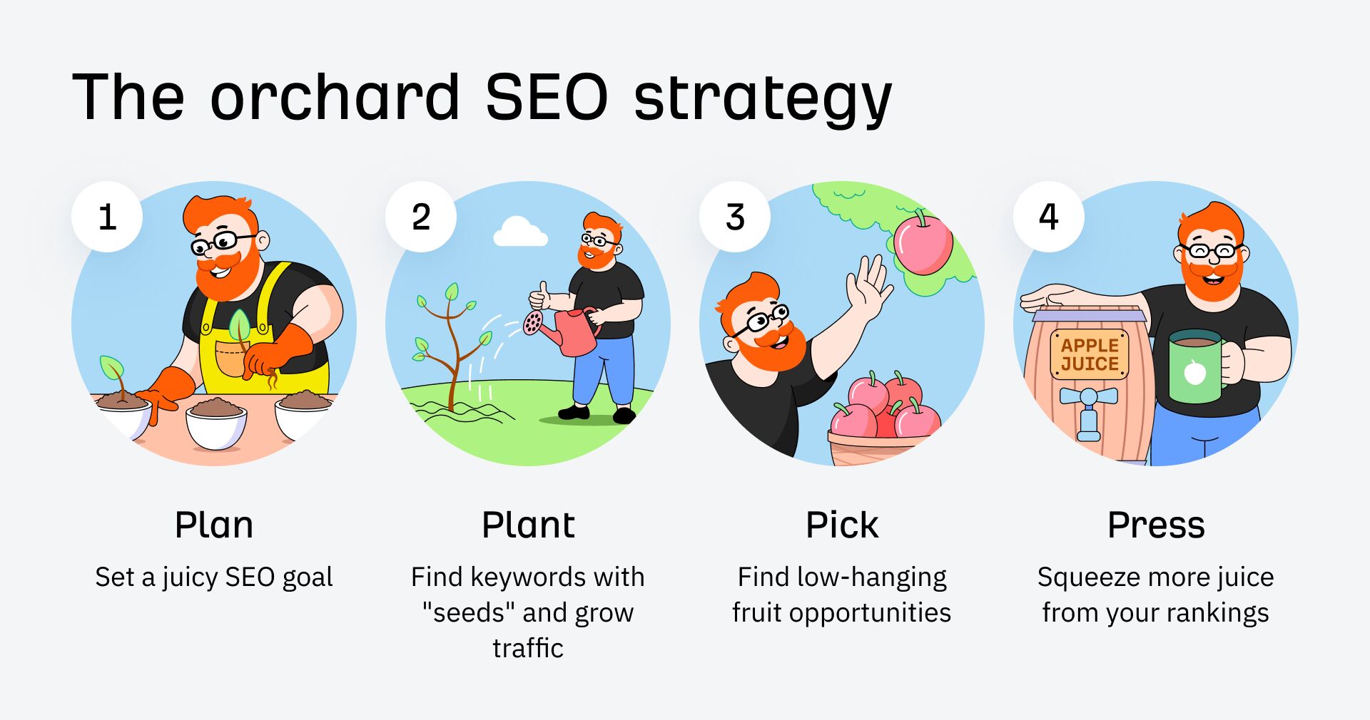 Orchard SEO Strategy