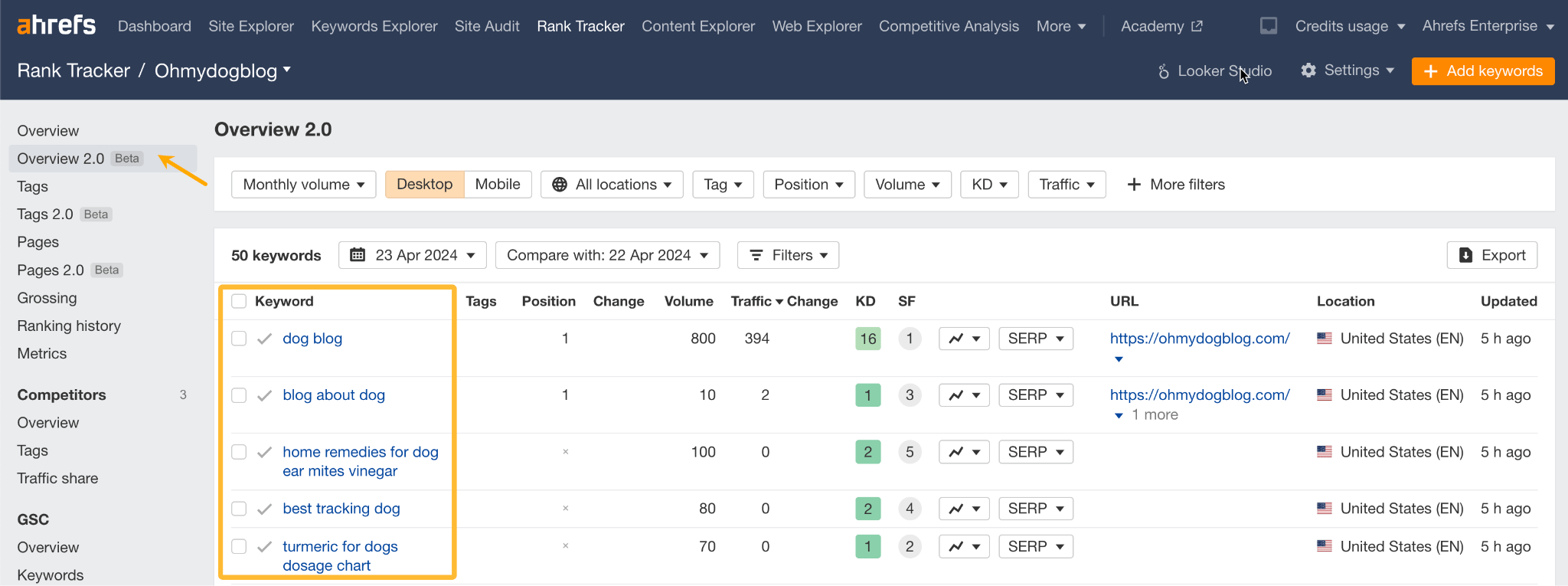 Rank Tracker’s Overview report. 