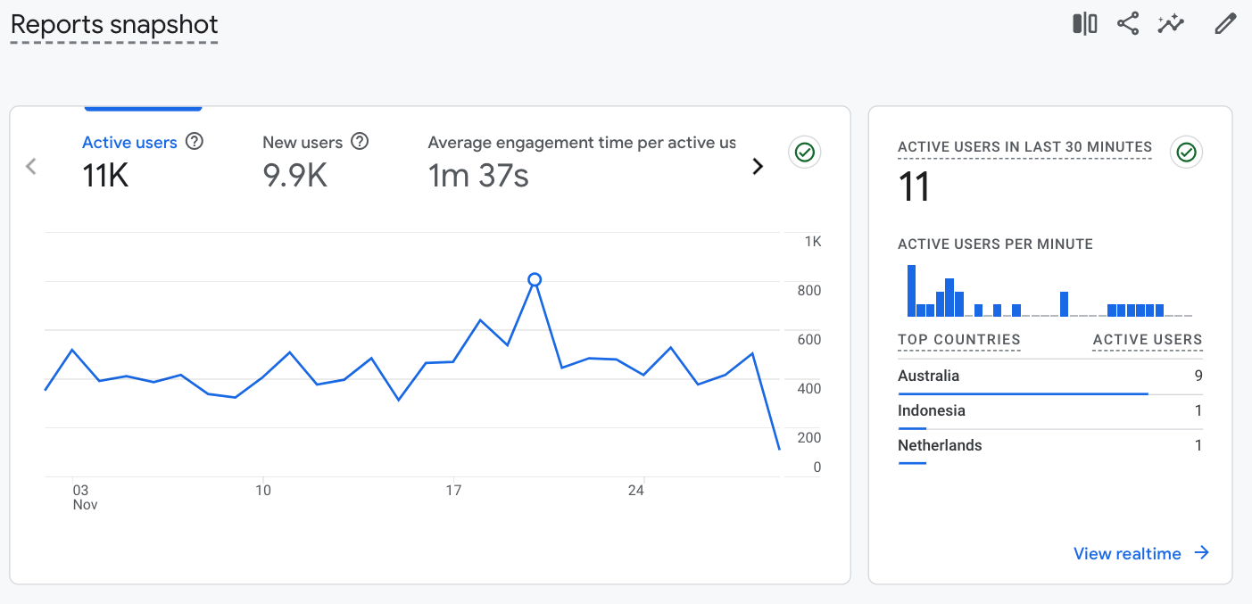 Example of website usage data in Google Analytics.