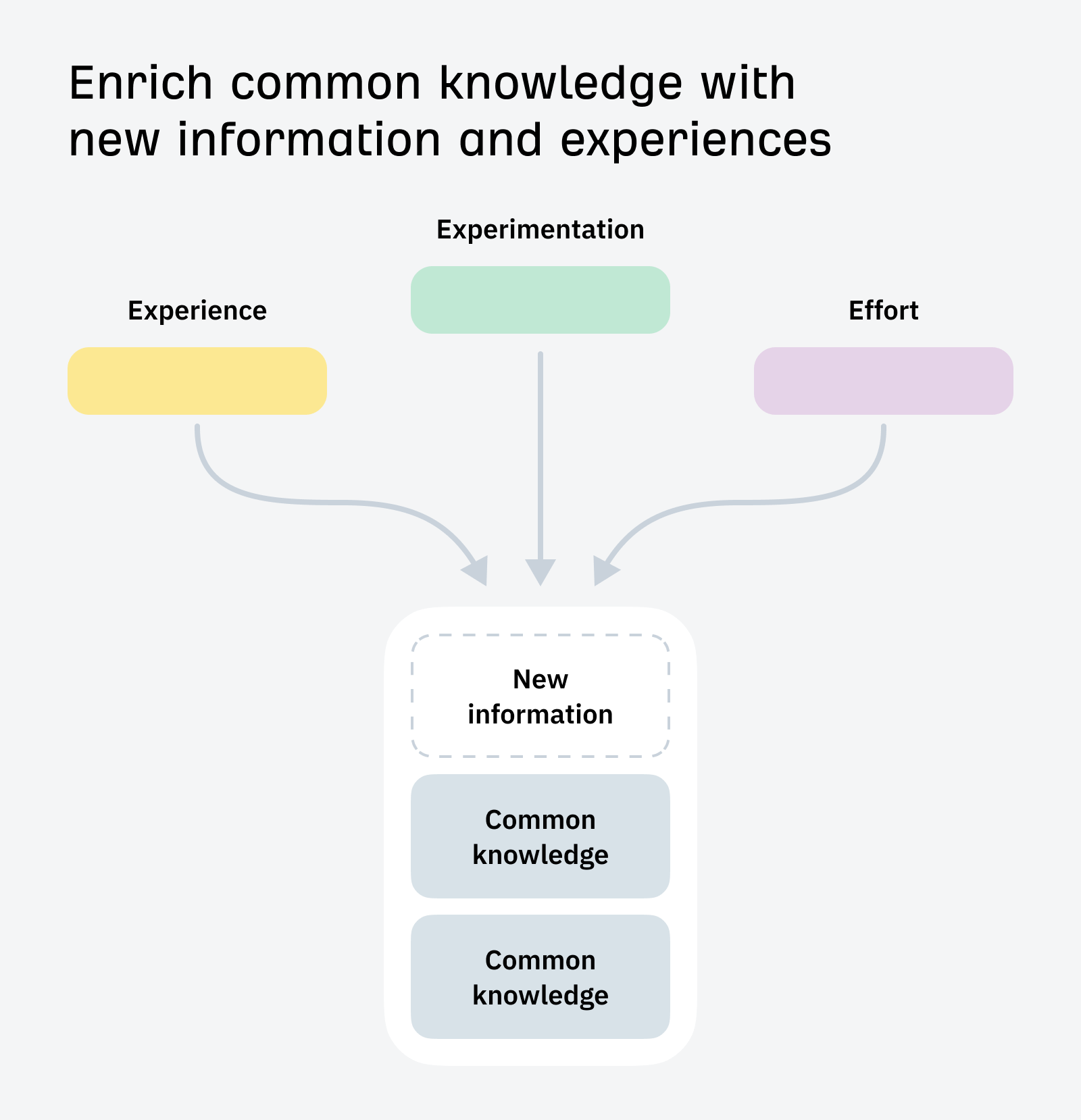 How to add information gain to new articles through experience, experimentation and effort.