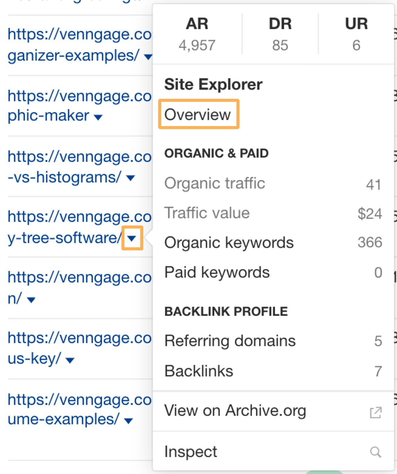 Investigating specific pages and their SEO metrics in Ahrefs.