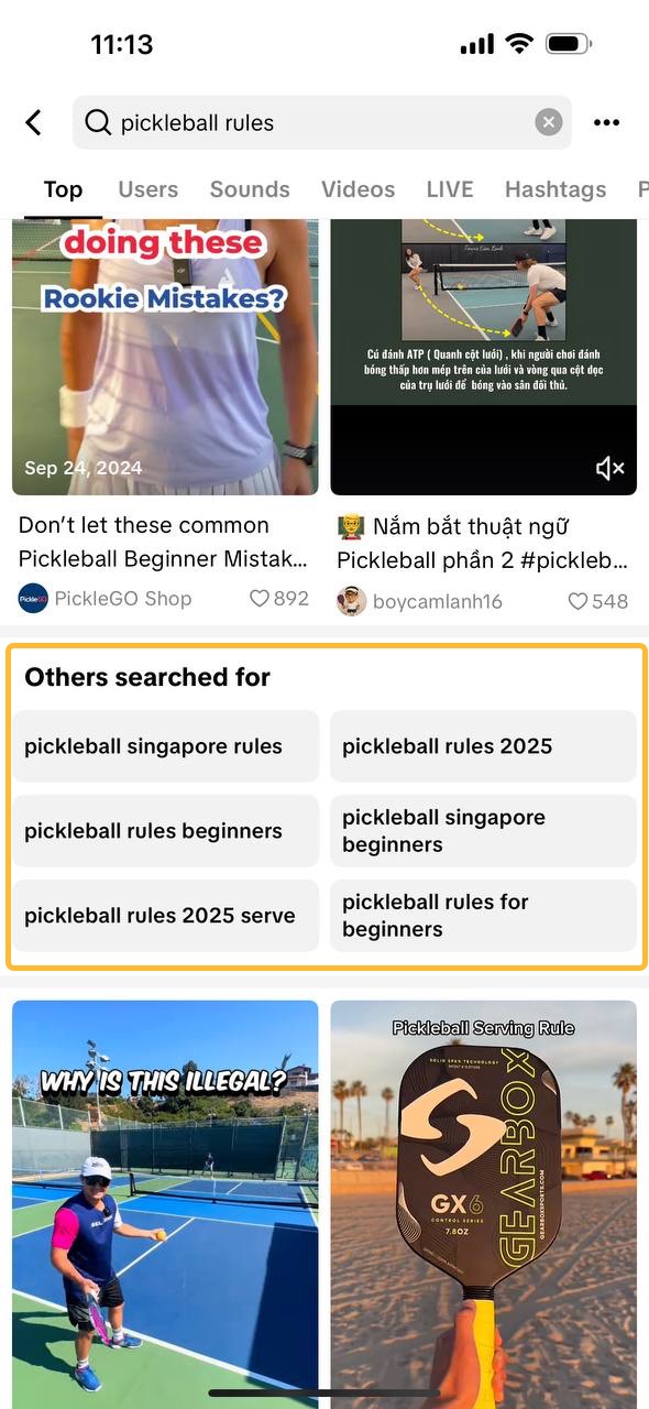 TikTok's Others searched for suggestions