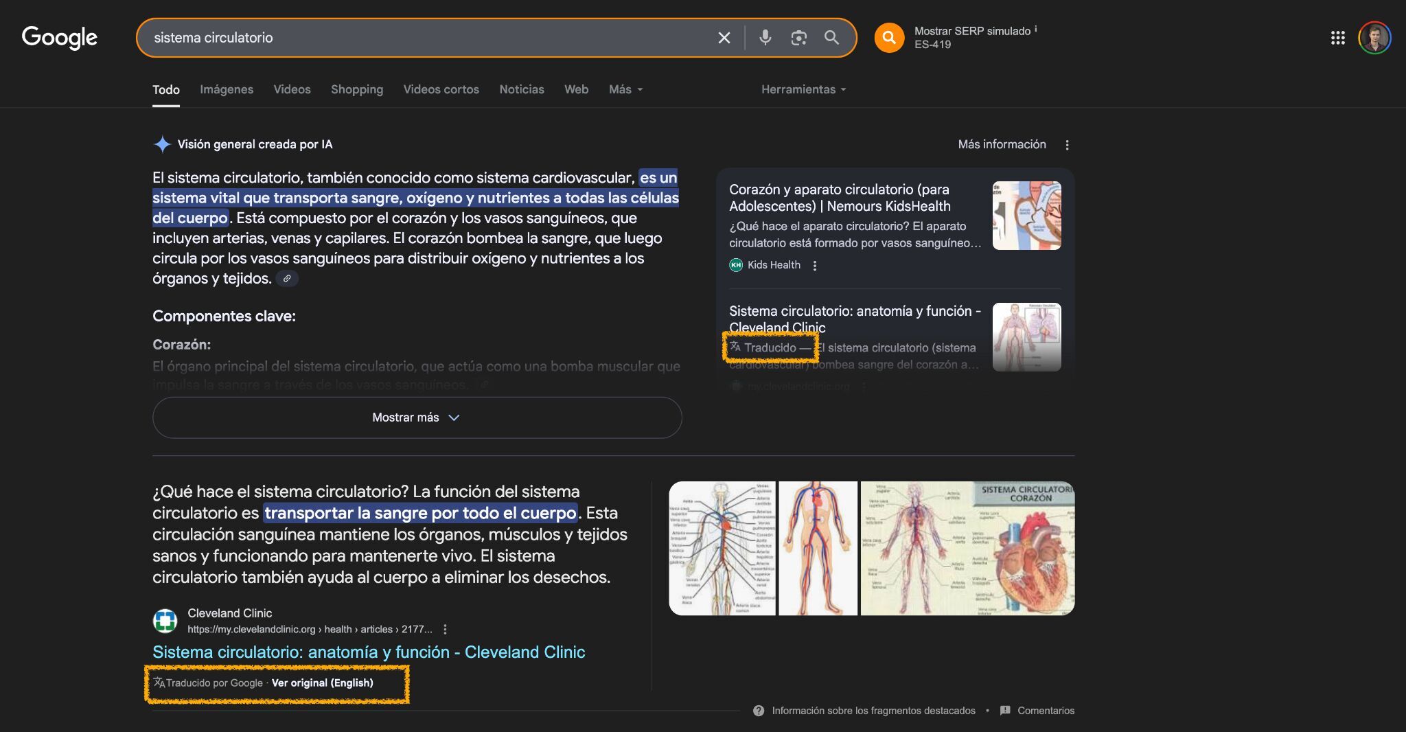 Example of an AI Overview translating English content natively in SERPs