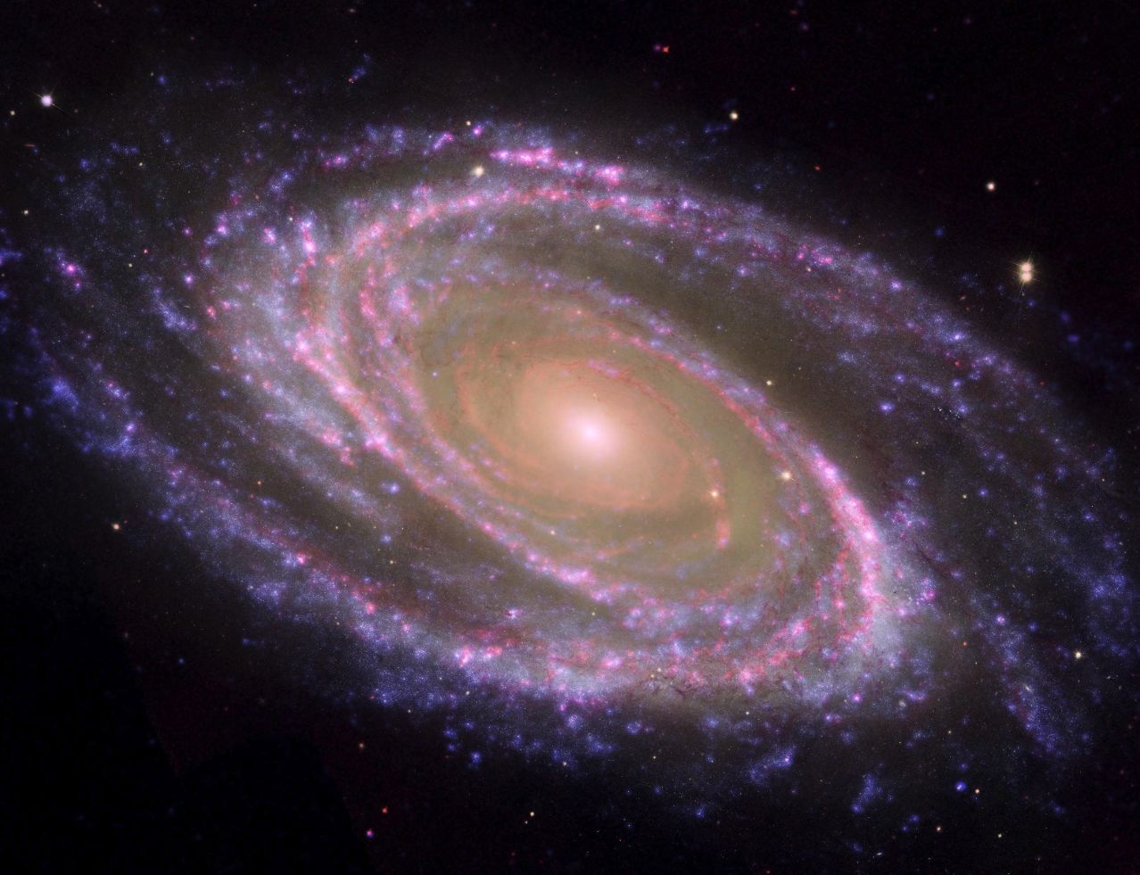 Image of a galaxy from NASA