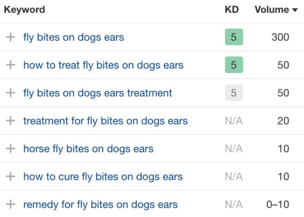 List of keyowrds about fly bites on dog ears
