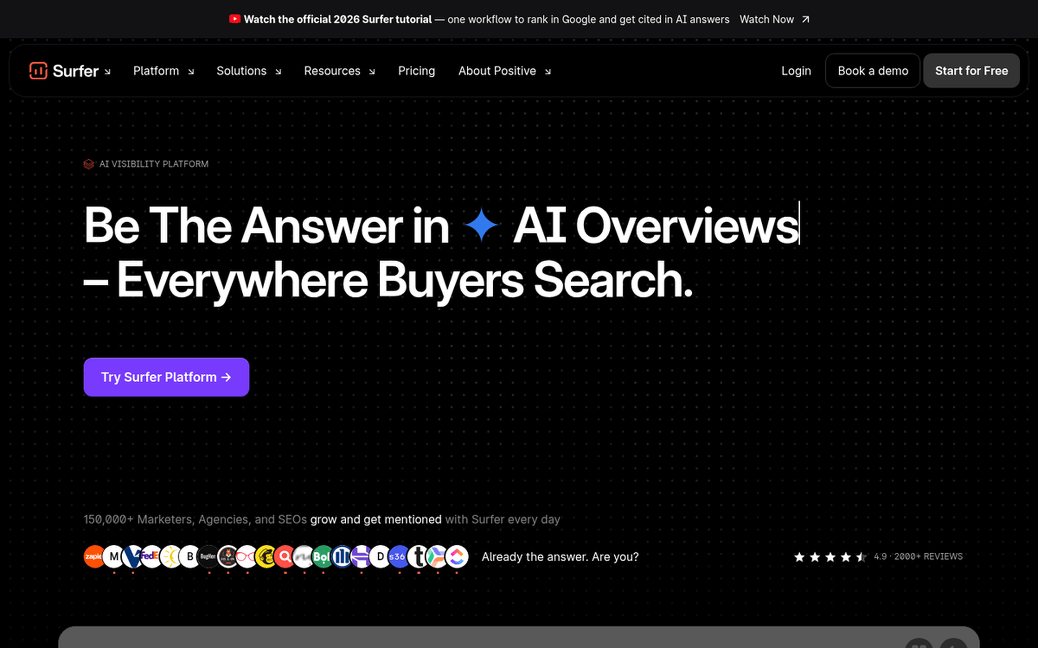 Surfer SEO content editor and optimization recommendations interface